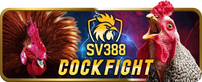 Các Loại Tiền Thưởng Đa Dạng 28bet